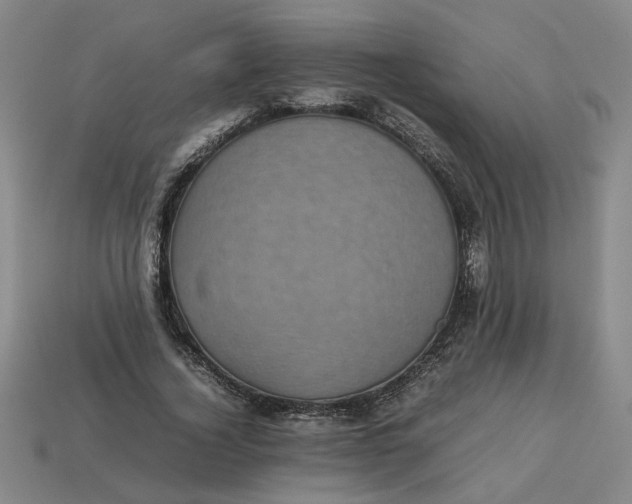 X0000113240732200910011325