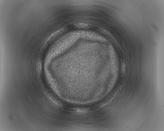 X0000113240733200910011325