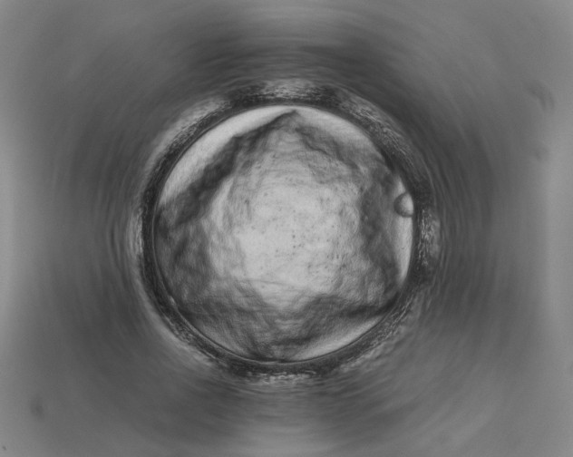 X0000113240734200910011325