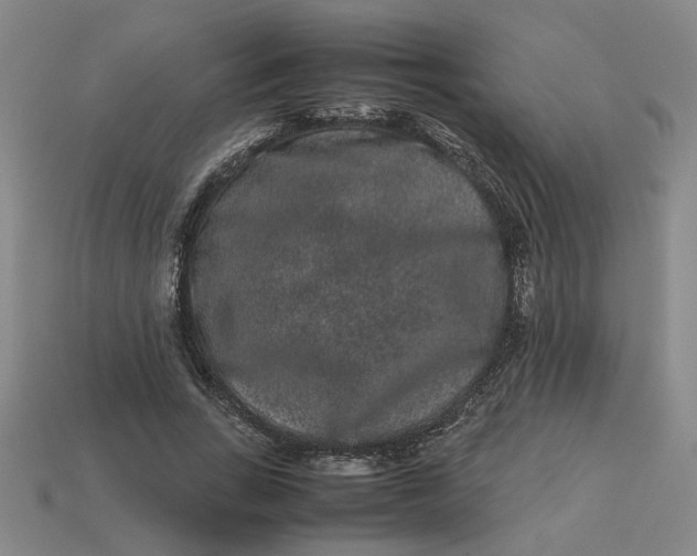 X0000113240735200910011325