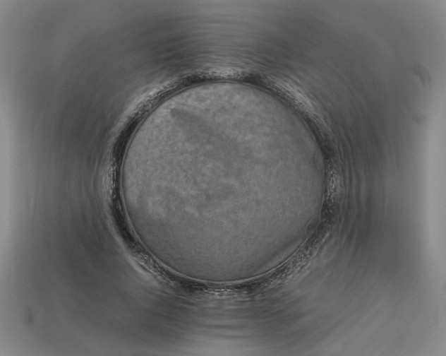 X0000113240736200910011325