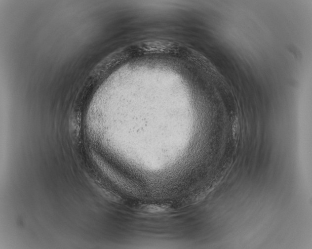 X0000113240737200910011325