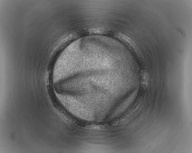 X0000113240738200910011325