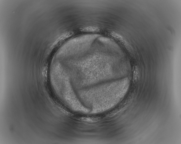 X0000113240739200910011325