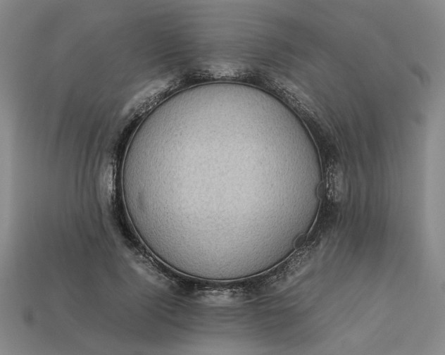 X0000113240740200910011325