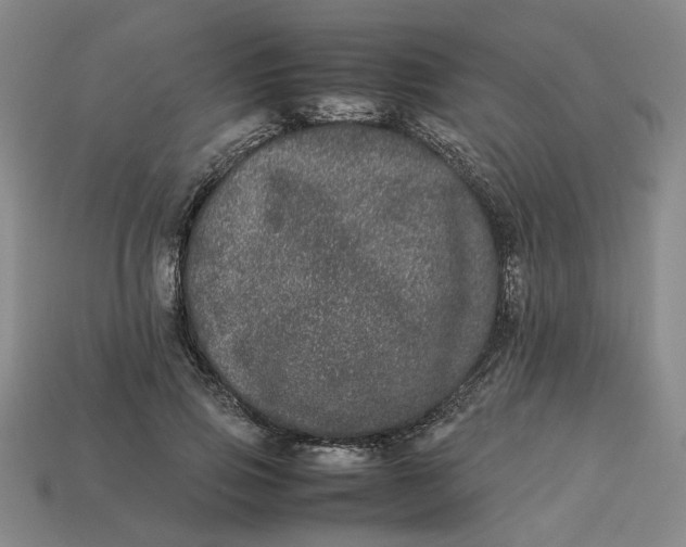 X0000113240741200910011325