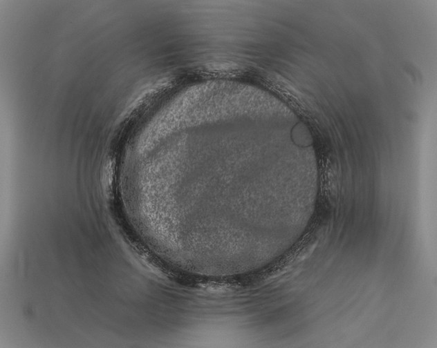 X0000113240742200910011325