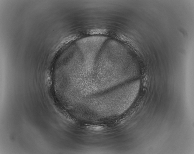 X0000113240743200910011325