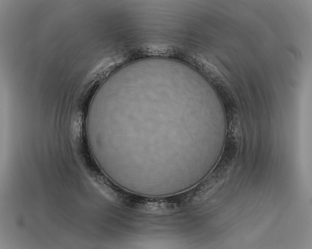 X0000113240744200910011325