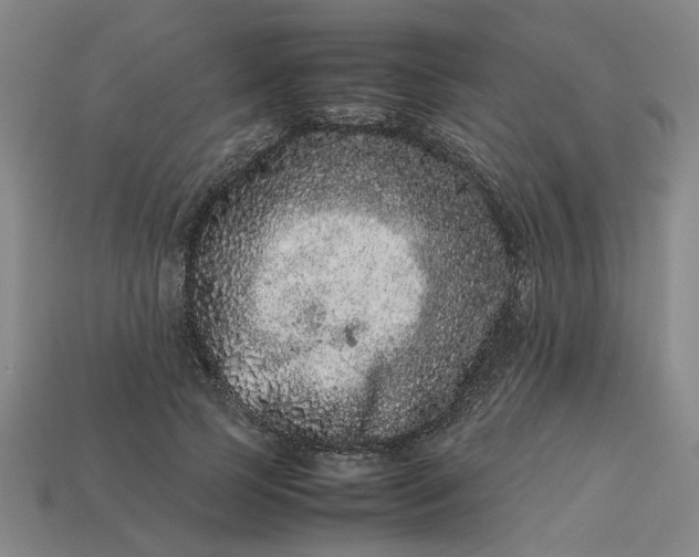 X0000113240745200910011325