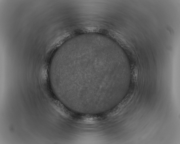 X0000113240746200910011325