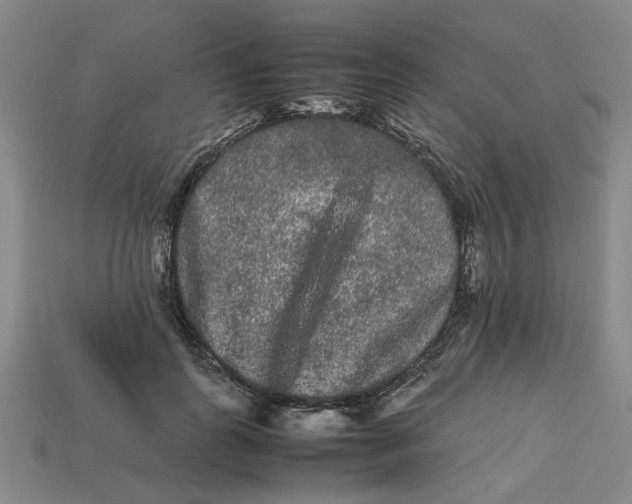 X0000113240747200910011326