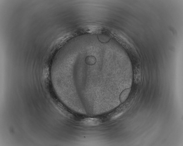 X0000113240748200910011326