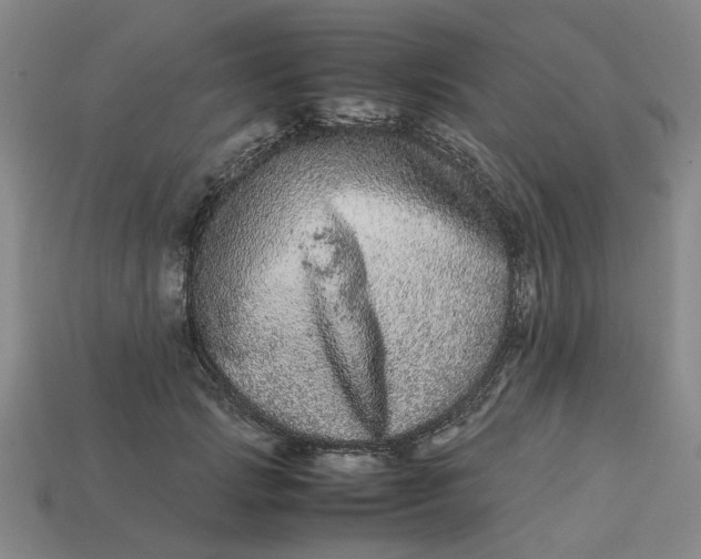 X0000113240749200910011326