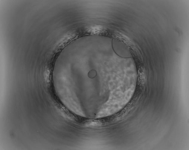 X0000113240750200910011326