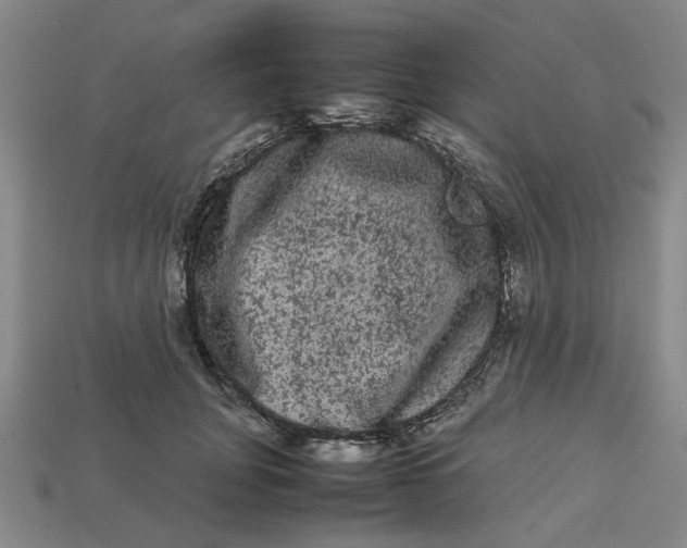 X0000113240751200910011326