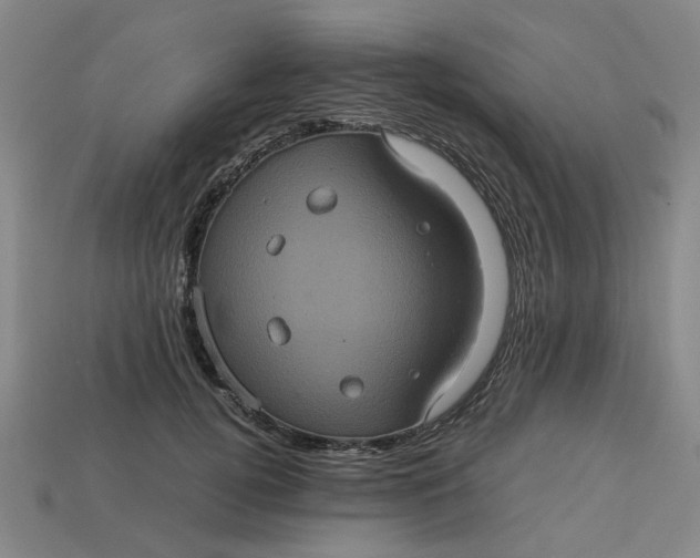 X0000113240752200910011326