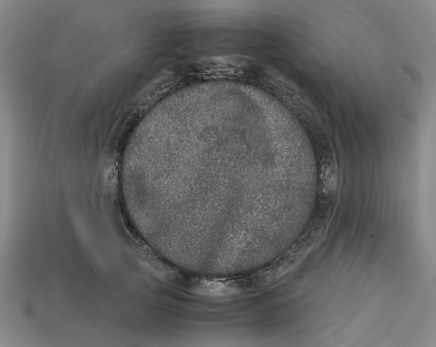 X0000113240753200910011326