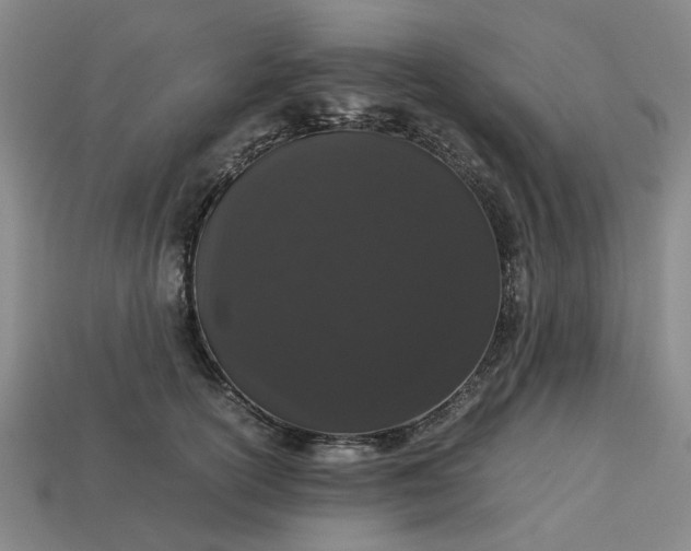 X0000113240754200910011326