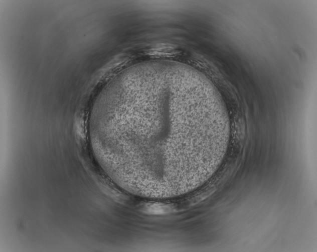 X0000113240755200910011326