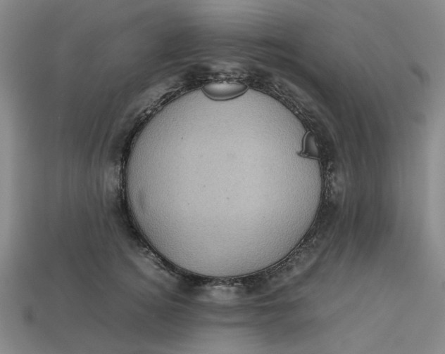 X0000113240756200910011326