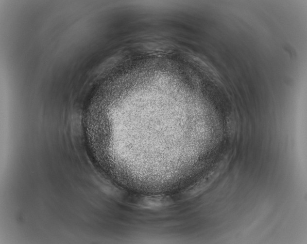 X0000113240757200910011326