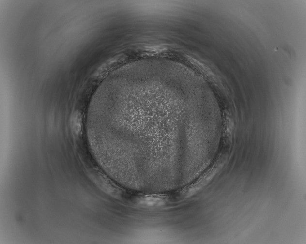 X0000113240758200910011326