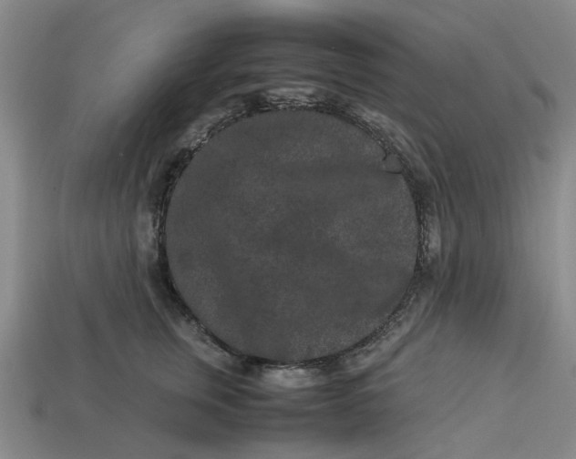 X0000113240759200910011326