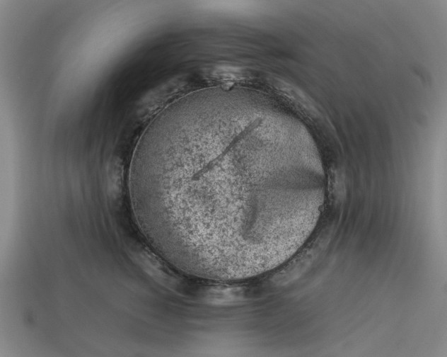 X0000113240760200910011326