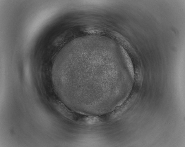 X0000113240762200910011326