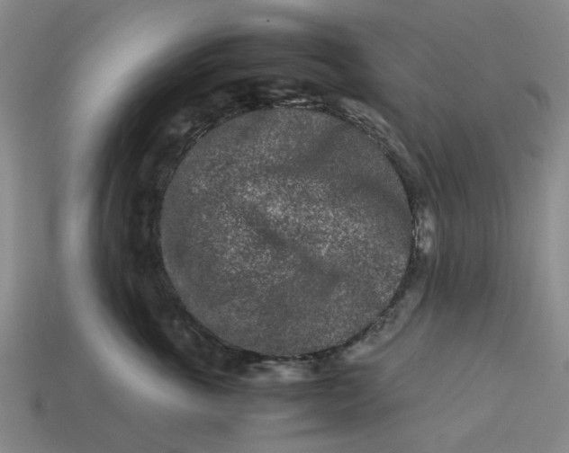 X0000113240763200910011326