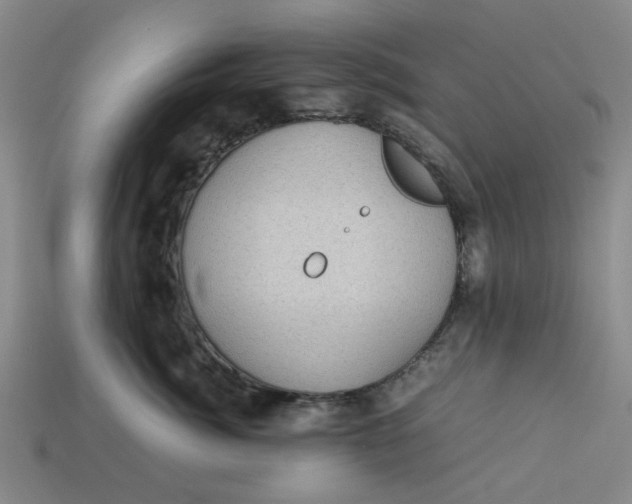 X0000113240764200910011326