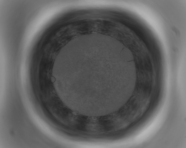 X0000113240766200910011326