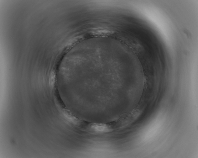 X0000113240767200910011326