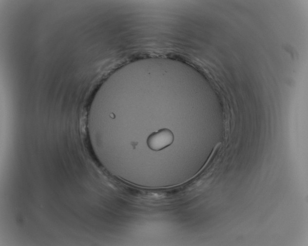 X0000113240768200910011326