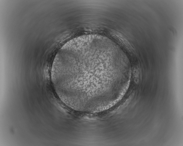 X0000113240770200910011325