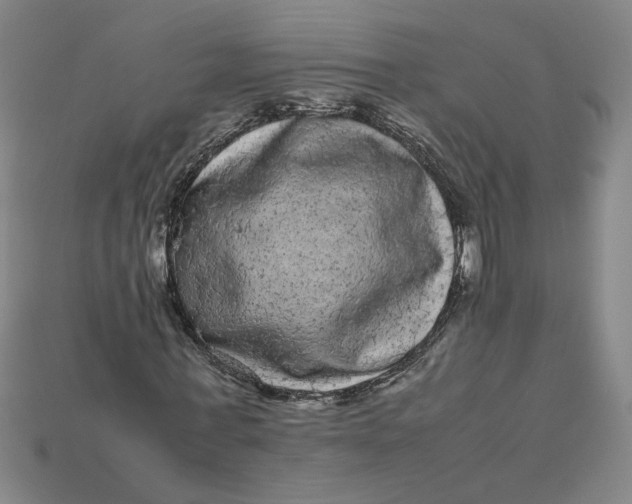 X0000113240771200910011325