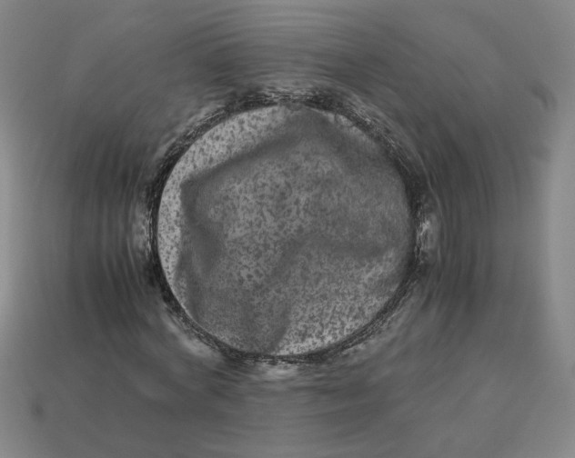 X0000113240772200910011325