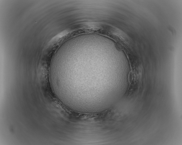 X0000113240773200910011325