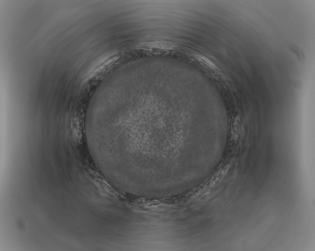 X0000113240774200910011325