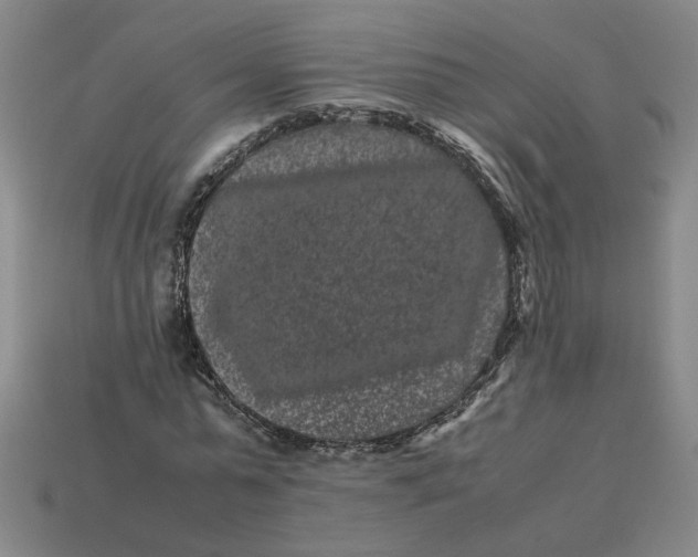 X0000113240775200910011325