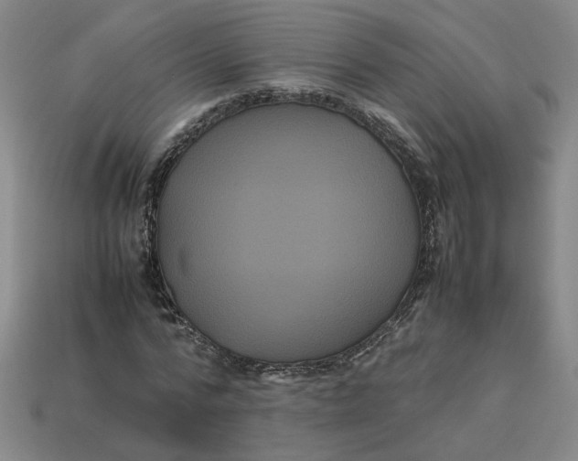 X0000113240776200910011325