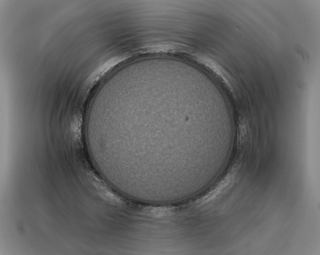 X0000113240778200910011325