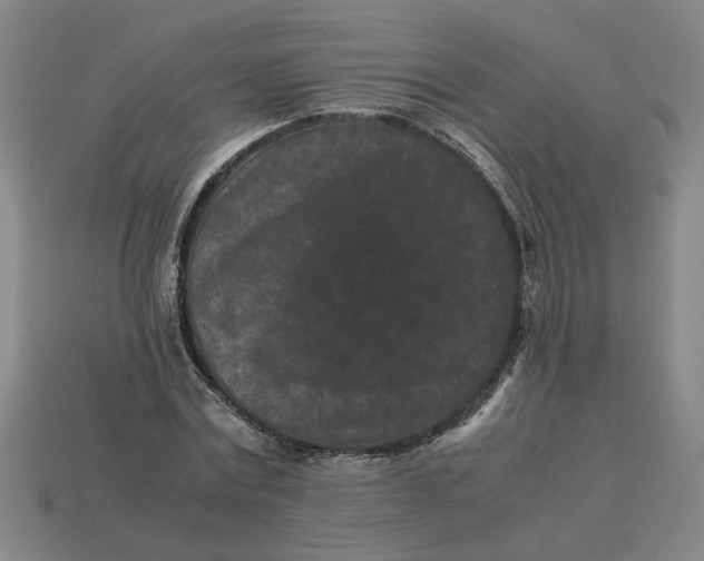 X0000113240779200910011325