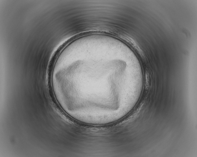 X0000113240780200910011325