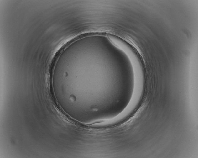 X0000113240781200910011325