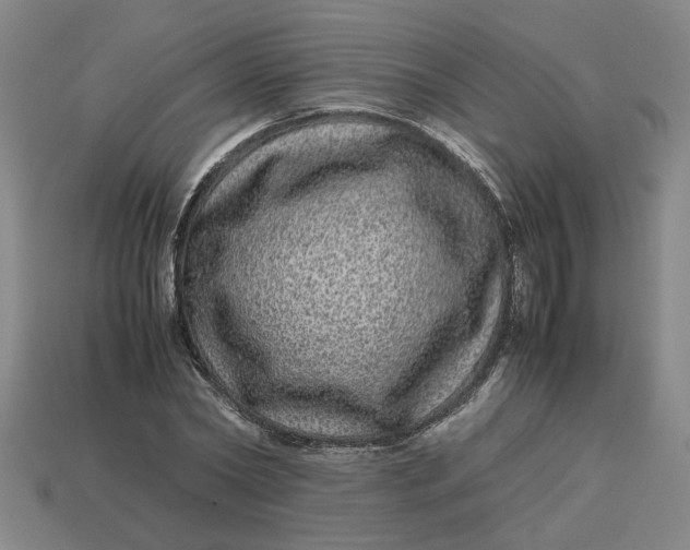 X0000113240782200910011325