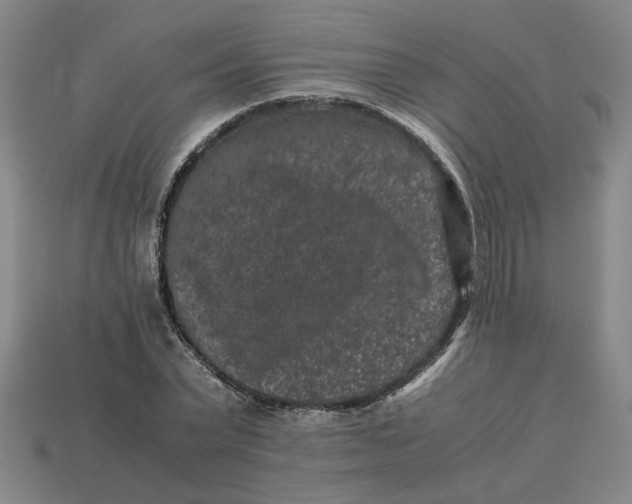 X0000113240783200910011325