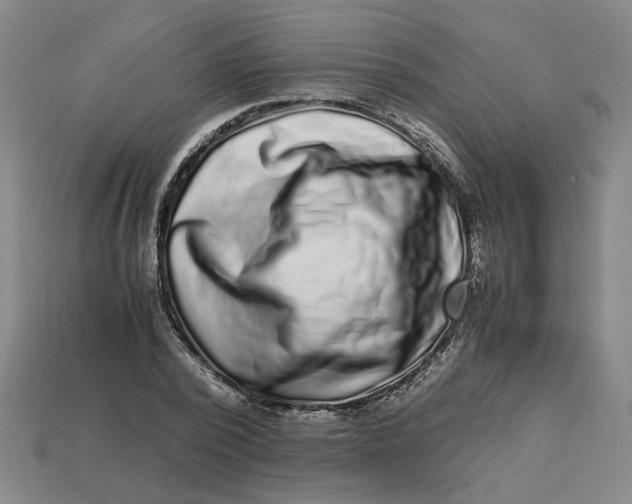 X0000113240784200910011325