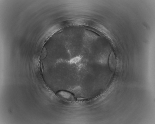 X0000113240785200910011325